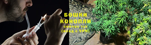 молекула духа Наволоки